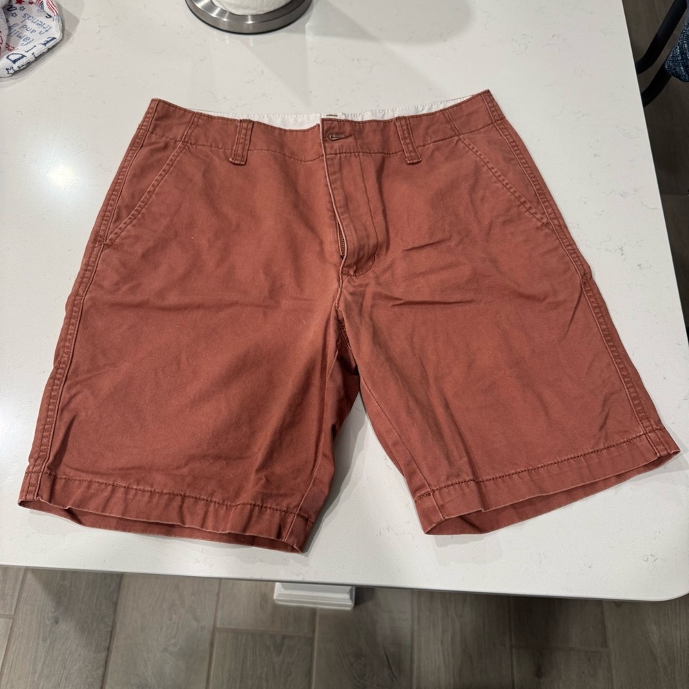 Old Navy - Burnt Orange Flat Front Shorts